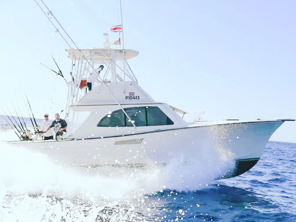  | Merry Marlin – 38′